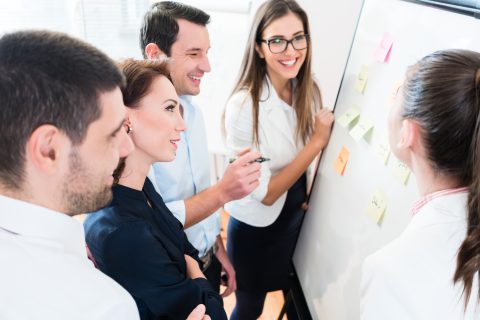 Responsable hygiène santé environnement