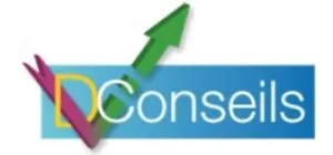 DV Conseils